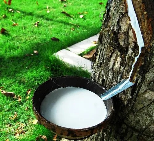 國內(nèi)橡膠制品配套生產(chǎn)的進程(一) 國內(nèi)橡膠制品配套生產(chǎn)的進程(一)