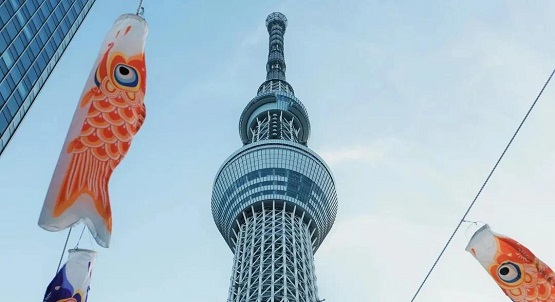 日本東京西南部的小田原(Odawara)開始生產(chǎn)汽車護套
