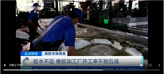 膠水不足，橡膠加工廠開工率不到五成