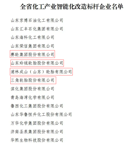 四大輪胎廠商，成為標桿