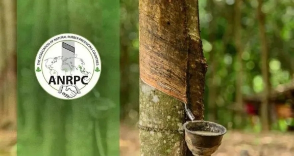 ANRPC預(yù)計2021年全球天橡膠產(chǎn)量1386 萬噸