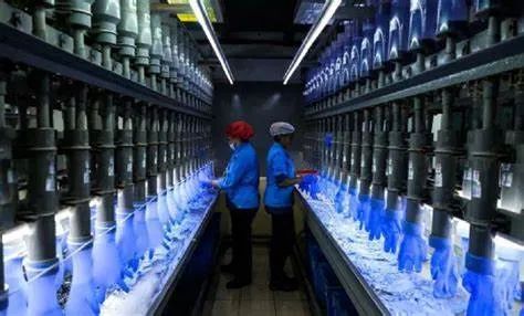 全球最大的橡膠手套制造商馬來西亞頂級(jí)手套公司 (Top Glove Corporation) 全球最大的橡膠手套制造商馬來西亞頂級(jí)手套公司 (Top Glove Corporation)