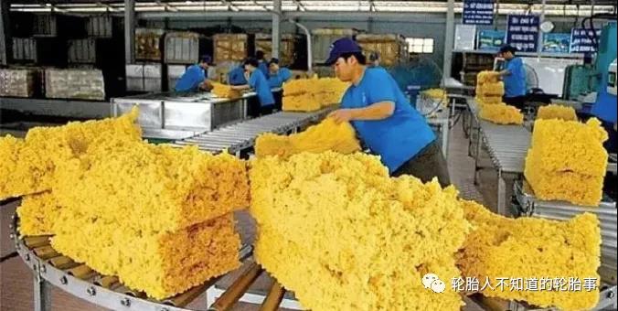 中國仍是越南橡膠最大出口市場(chǎng)