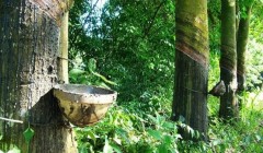 橡膠技術(shù)網(wǎng)：特種橡膠有哪些？