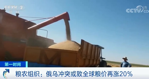 原料價(jià)格進(jìn)一步推高，飼料漲價(jià)潮重現(xiàn)