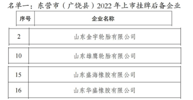 東營4大輪胎，排隊上市！