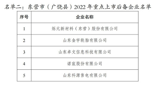 2022年重點上市后備企業(yè)名單，其中包括金宇輪胎。