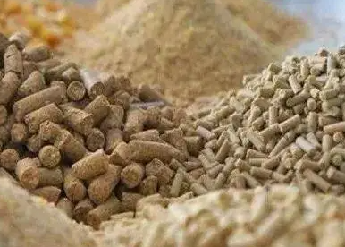 俄烏兩國對飼料價格的影響有多大？