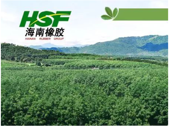 公司在不具有商業(yè)實質(zhì)的情況下進行會計處理，導致多期年度報告財務信息披露不真實，違反了多項規(guī)定。