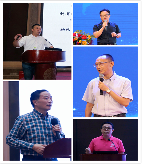精彩紛呈的專(zhuān)家報(bào)告 精彩紛呈的專(zhuān)家報(bào)告