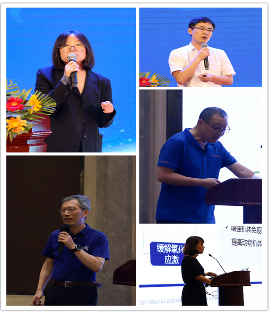 精彩紛呈的專(zhuān)家報(bào)告 精彩紛呈的專(zhuān)家報(bào)告
