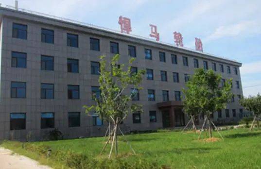 兩家輪胎公司，進(jìn)入省級名單 