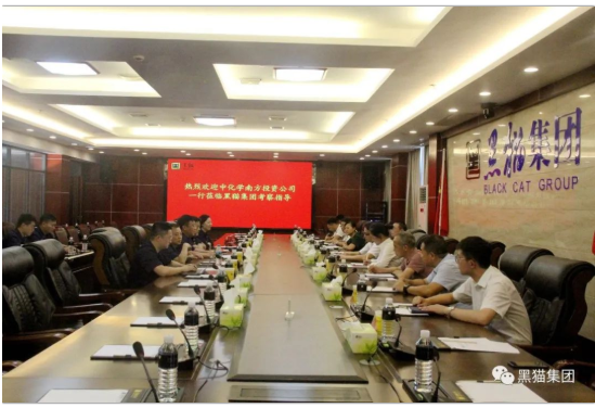 與會(huì)人員共同觀看了黑貓集團(tuán)宣傳片，并就相關(guān)問(wèn)題展開(kāi)深入交流。