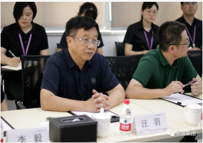 汪羽表示，安徽黑貓公司與民營企業(yè)的合作是成功的，具有可復(fù)制意義