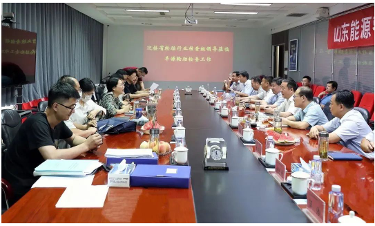 省輪胎行業(yè)核查組，檢查指導(dǎo)豐源輪胎