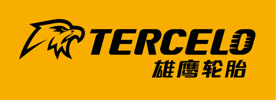 4個月，輪胎公司賺了近百萬！