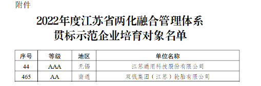 江蘇政府：重點(diǎn)培育這兩家輪胎！