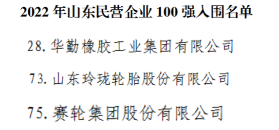 山東民企100強，三大輪胎上榜！