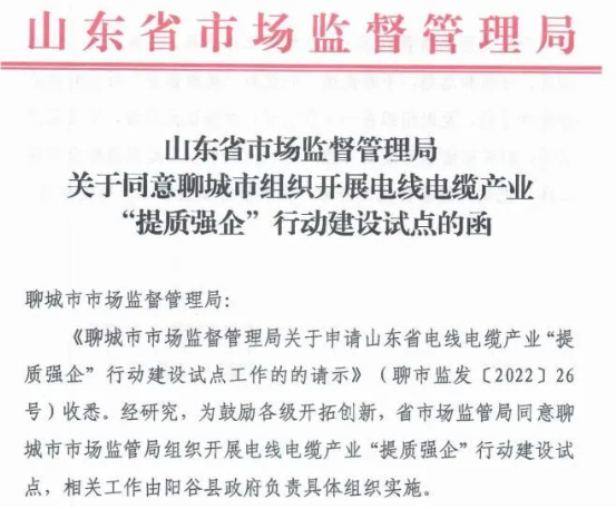 聊城市陽谷縣被定為電線電纜產(chǎn)業(yè)“提質(zhì)強(qiáng)企”行動建設(shè)試點(diǎn) 聊城市陽谷縣被定為電線電纜產(chǎn)業(yè)“提質(zhì)強(qiáng)企”行動建設(shè)試點(diǎn)