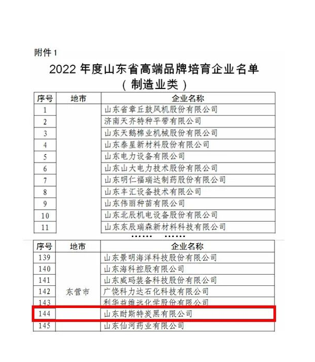 耐斯特炭黑公司將錨定“走在前、開新局”，繼續(xù)踐行“創(chuàng)新引領(lǐng)、經(jīng)營(yíng)增效，高效管理、節(jié)能創(chuàng)效，持續(xù)發(fā)展、管理提效”的戰(zhàn)略定位，把科技創(chuàng)新擺在更加突出的位置、置于更加優(yōu)先的發(fā)展方向，大力推進(jìn)以企業(yè)為主體的技術(shù)創(chuàng)新體系建設(shè)，強(qiáng)化關(guān)鍵核心技術(shù)攻關(guān)，牢牢掌握創(chuàng)新發(fā)展主動(dòng)權(quán)，打造原始創(chuàng)新高地和強(qiáng)大引擎，持續(xù)推動(dòng)產(chǎn)學(xué)研用一體化發(fā)展，以更自覺(jué)的擔(dān)當(dāng)、更堅(jiān)決的態(tài)度、更有力的舉措持續(xù)加強(qiáng)高技能人才隊(duì)伍建設(shè)，努力為山東先進(jìn)制造業(yè)強(qiáng)省建設(shè)貢獻(xiàn)更多的萬(wàn)達(dá)耐斯特智慧和力量，以更優(yōu)異的成績(jī)迎接黨的二十大勝利召開。