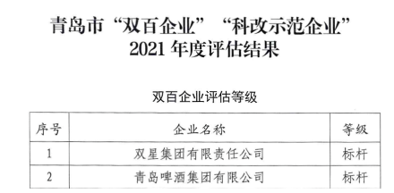 10.雙星集團(tuán)，全國(guó)國(guó)企改革“雙百企業(yè)”標(biāo)桿!