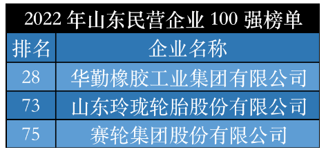 2022山東輪胎領(lǐng)軍企業(yè)，震撼發(fā)布！