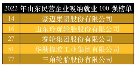 山東民營企業(yè)吸納就業(yè)100強(qiáng)榜單中，豪邁集團(tuán)、玲瓏輪胎、賽輪集團(tuán)、華勤橡膠、三角輪胎位列其中。作為勞動力較為密集的制造業(yè)，以上5家輪胎及相關(guān)企業(yè)吸納就業(yè)數(shù)千人。