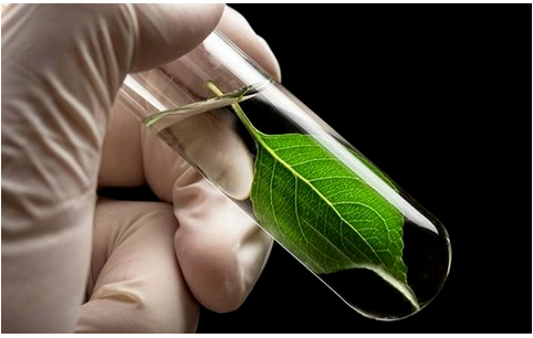 博拉表示，通過(guò)將生物基納米纖維素加入橡膠混煉膠中，提高了輪胎滾動(dòng)阻力和車輛燃油經(jīng)濟(jì)性。