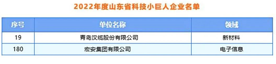 青島漢纜股份、宏安集團(tuán)入選2022年度山東省科技領(lǐng)軍企業(yè)名單