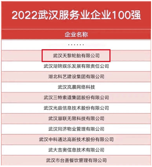 武漢天黎，連續(xù)五年入選政府榜單！