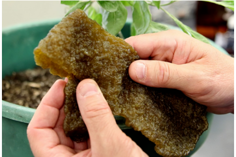 輪胎廠新項目，獲政府2.5億資助！