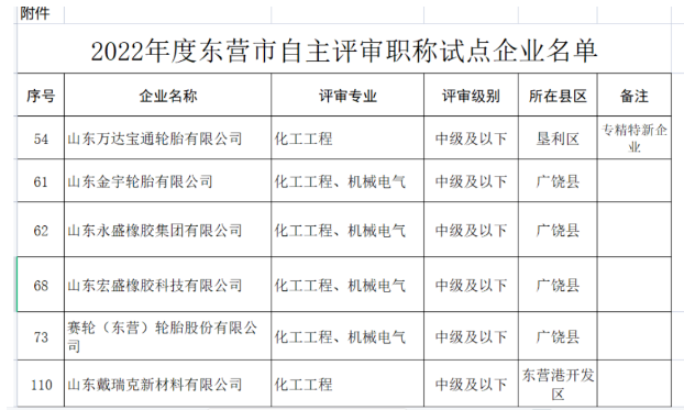 職稱自主評(píng)審，5家輪胎企業(yè)試點(diǎn)！