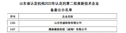 最新：六家輪胎入選高新企業(yè)！