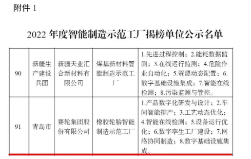 賽輪集團，上榜國家級名單