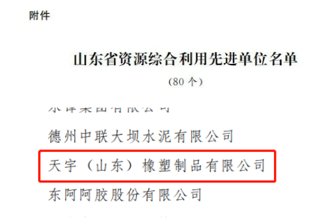 天宇(山東)橡塑制品有限公司位列其中。