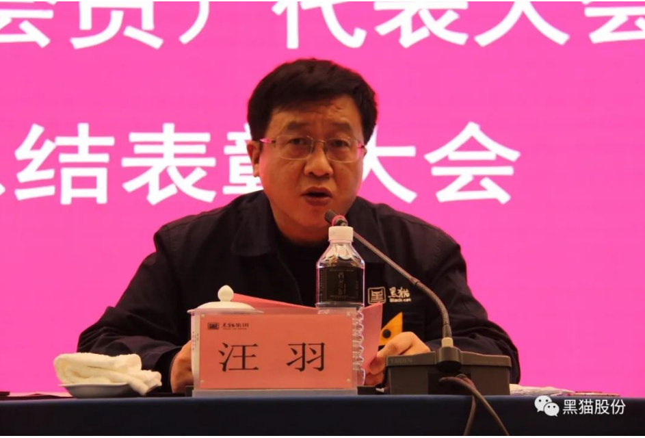 黑貓集團黨委副書記、總經(jīng)理汪羽