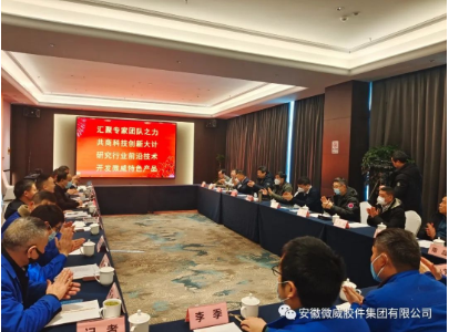 安徽微威膠件集團(tuán)有限公司
