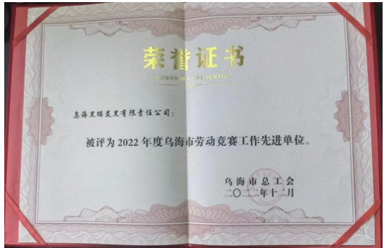 喜訊！烏海黑貓公司榮獲“烏海市勞動(dòng)競(jìng)賽工作先進(jìn)單位”稱號(hào)