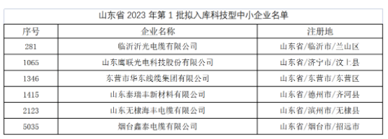 其中，東營市華東線纜集團有限公司、臨沂沂光電纜有限公司、山東鷹聯(lián)光電科技股份有限公司、山東泰瑞豐新材料有限公司、山東無棣海豐電纜有限公司、煙臺鑫泰電纜有限公司等多家電線電纜企業(yè)進入山東省2023年第1批擬入庫科技型中小企業(yè)名單。