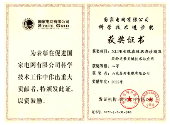 山東泰開電纜有限公司憑借其“XLPE電纜在役狀態(tài)診斷及役齡延長關(guān)鍵技術(shù)與應(yīng)用”項目，獲得了國家電網(wǎng)有限公司的“科學(xué)技術(shù)進步獎”，這是對該公司近年來高質(zhì)量發(fā)展的充分肯定。
