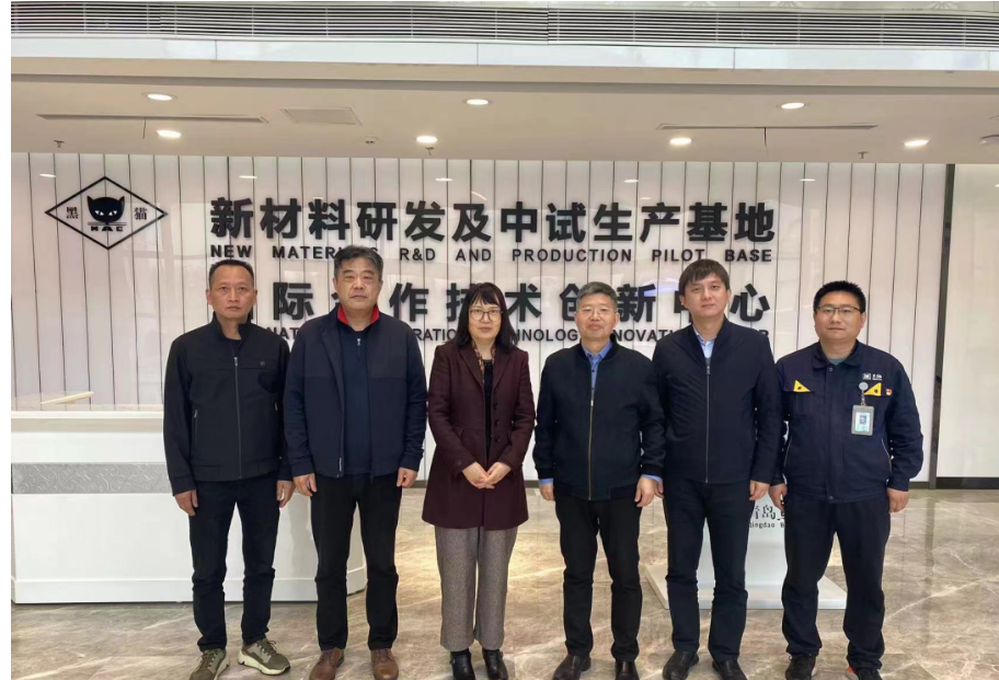 中國(guó)橡膠工業(yè)協(xié)會(huì)炭黑協(xié)會(huì)秘書長(zhǎng)丁麗萍、中昊黑元化工研究設(shè)計(jì)院王家貴院長(zhǎng)一行考察了青島黑貓研究院。黑貓股份黨委副書記、總經(jīng)理魏明陪同考察組一同參觀了中試車間、黑貓文化展廳、研發(fā)中心及產(chǎn)學(xué)研中心。