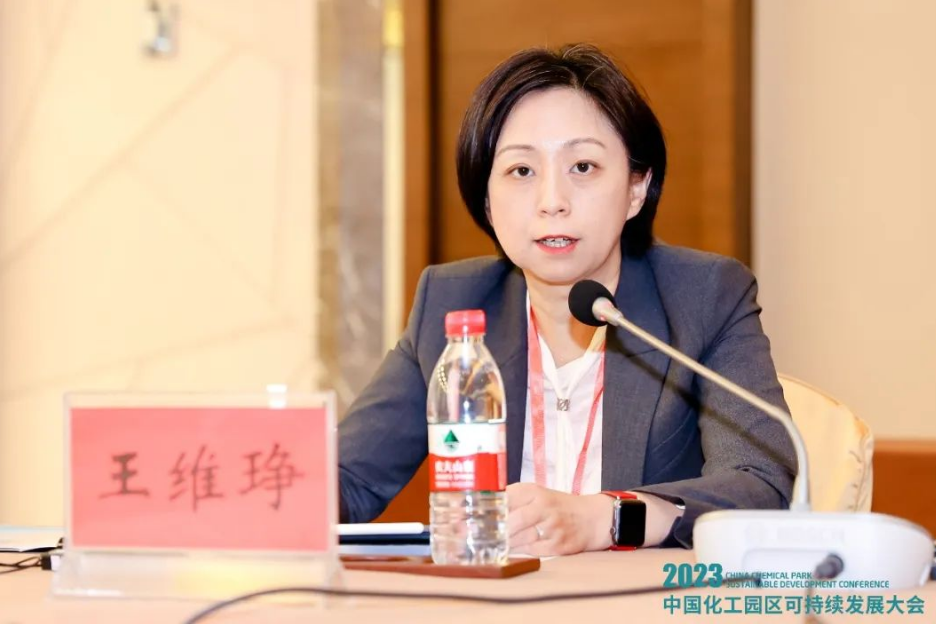 卡博特副總裁、中國區(qū)董事總經(jīng)理及功能性補強材料中國區(qū)業(yè)務(wù)總監(jiān)王維琤女士