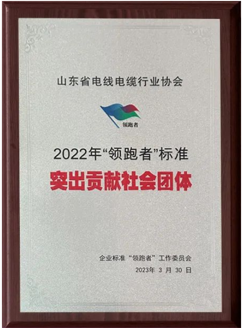 會(huì)上，山東省電線電纜行業(yè)協(xié)會(huì)獲“2022年‘領(lǐng)跑者’標(biāo)準(zhǔn)突出貢獻(xiàn)社會(huì)團(tuán)體”“2022年‘領(lǐng)跑者’榜單突出貢獻(xiàn)評(píng)估機(jī)構(gòu)”兩項(xiàng)殊榮。授牌儀式隆重舉行，這也標(biāo)志著山東省電線電纜行業(yè)協(xié)會(huì)在企業(yè)標(biāo)準(zhǔn)“領(lǐng)跑者”制度的評(píng)價(jià)工作中取得了重要成果。