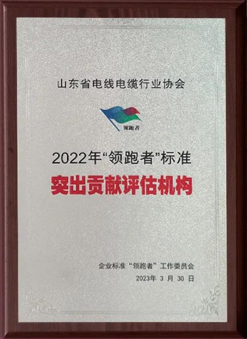 企業(yè)標(biāo)準(zhǔn)“領(lǐng)跑者”制度是我國的重要標(biāo)準(zhǔn)制度之一，通過高水平引領(lǐng)，增加中高端產(chǎn)品和服務(wù)有效供給，支撐高質(zhì)量發(fā)展的鼓勵(lì)性政策，對(duì)深化標(biāo)準(zhǔn)化工作改革、推動(dòng)經(jīng)濟(jì)新舊動(dòng)能轉(zhuǎn)換、供給側(cè)結(jié)構(gòu)性改革和培育一批具有創(chuàng)新能力的排頭兵企業(yè)具有重要作用。