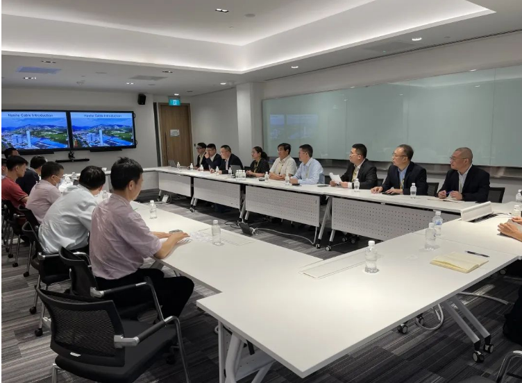 漢河集團董事長張大偉率隊訪問SP Group，推進兩國電纜行業(yè)合作