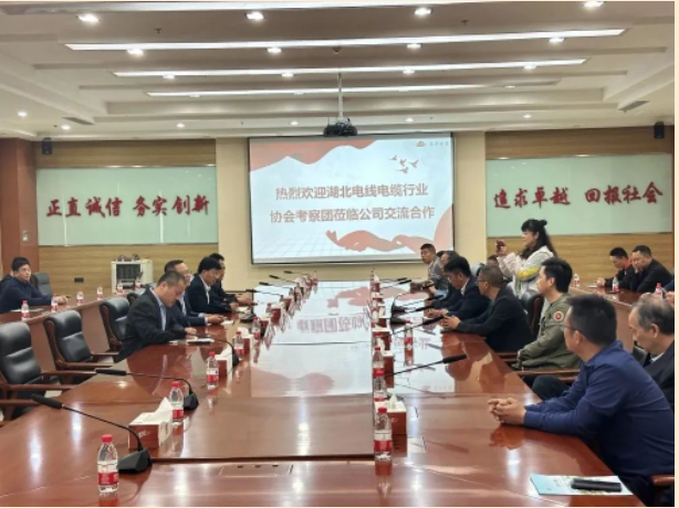 山東泰開電纜有限公司總經(jīng)理張愛華陪同下，交流團(tuán)一行人參觀了集團(tuán)展廳，詳細(xì)了解集團(tuán)的發(fā)展歷程、經(jīng)營(yíng)理念、科研創(chuàng)新、核心零部件等情況，同時(shí)考察了集團(tuán)下屬高壓、電纜制造現(xiàn)場(chǎng)。在座談會(huì)上，雙方就技術(shù)研發(fā)、生產(chǎn)管理、質(zhì)量控制、員工獎(jiǎng)勵(lì)等方面的問題進(jìn)行了友好互動(dòng)交流。