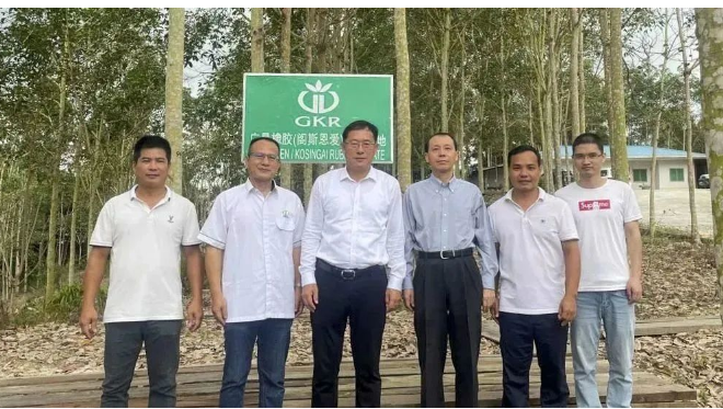 中國駐泰國宋卡總領(lǐng)事吳冬梅和中國駐馬來西亞古晉總領(lǐng)事邢偉平分別到訪廣墾橡膠泰國沙墩公司和廣墾橡膠馬來西亞砂撈越公司，考察了這兩家公司的生產(chǎn)情況和膠園管理情況，并聽取了企業(yè)經(jīng)營管理及黨建工作的匯報。