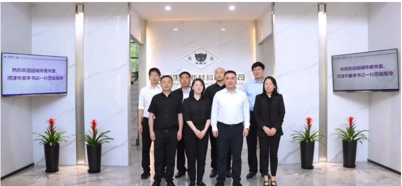 山西省運城市委常委、河津市委書記李曉武與河津市委常委、常務(wù)副市長閆新善一行，于今日蒞臨安徽黑貓公司，對其特種炭黑事業(yè)部展開調(diào)研。陪同調(diào)研的還有安徽黑貓公司相關(guān)負責(zé)人。