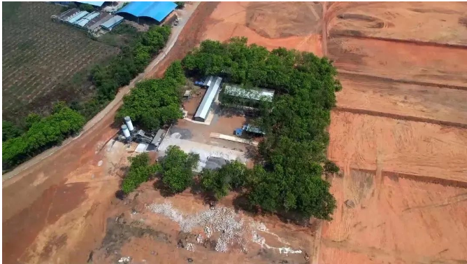 曼列橡膠加速推進橡膠基地項目建設(shè)，助力地方經(jīng)濟增長