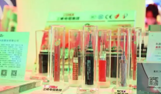 三峽電纜在展會(huì)現(xiàn)場(chǎng)展示了公司自主研發(fā)的一系列產(chǎn)品，其中包括重慶第一條軌道交通直流(FZ/FYS-GEA3DC)電纜、35kv軌道交通電纜以及礦物質(zhì)絕緣防火電纜(BTTZ、RTTZ、NG-A BTLY、BBTRZ)等。這些產(chǎn)品憑借其卓越的性能和質(zhì)量吸引了現(xiàn)場(chǎng)嘉賓和觀眾的高度關(guān)注。